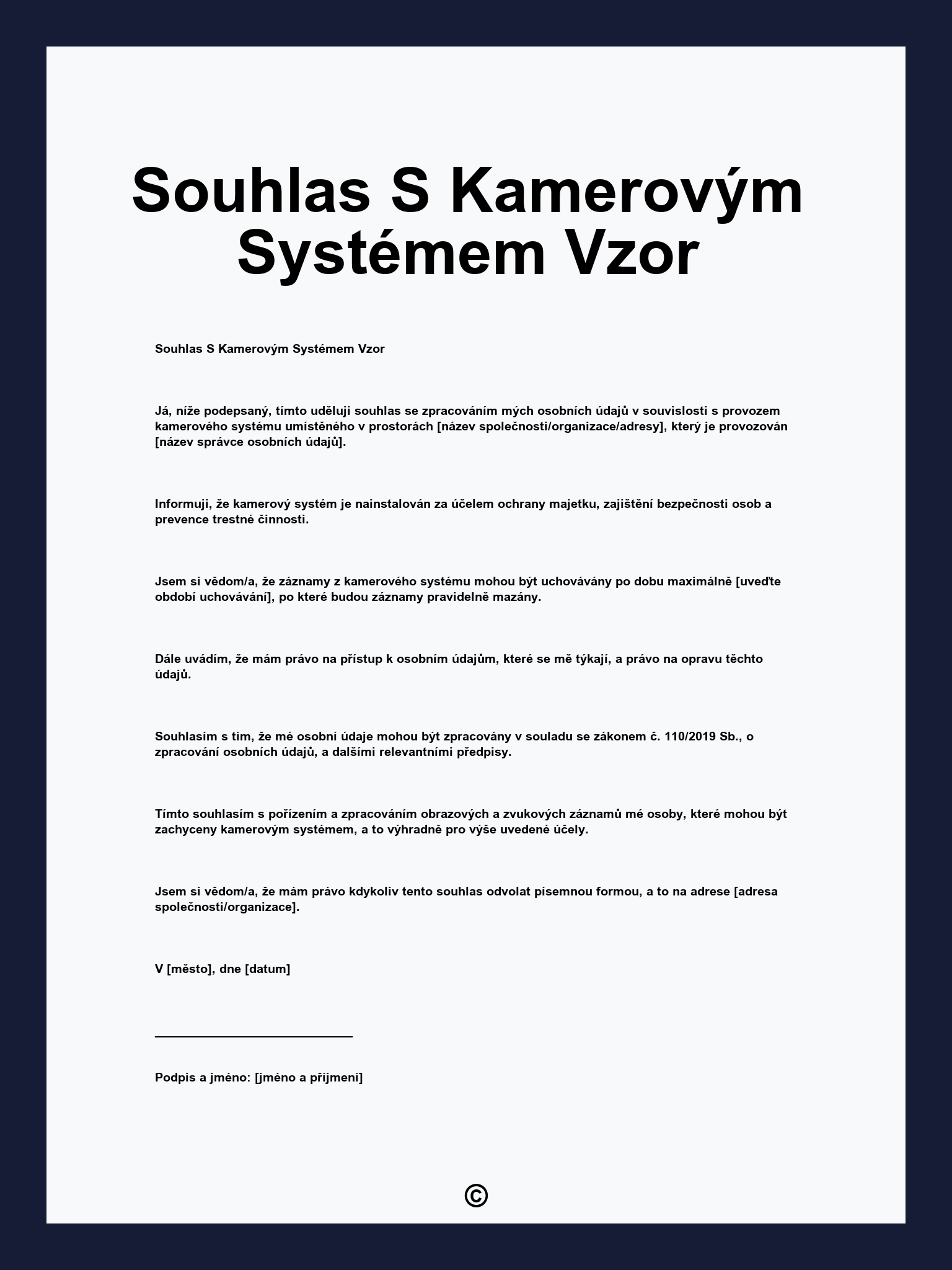 Souhlas S Kamerovým Systémem Vzor